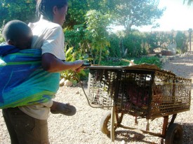 4948912840_74bbb69f25_b