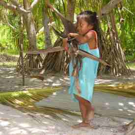 Biodiversity2 Biodiversity2