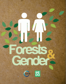 Forests-and-Gender