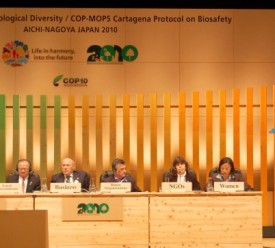 HLS. Women Statement1