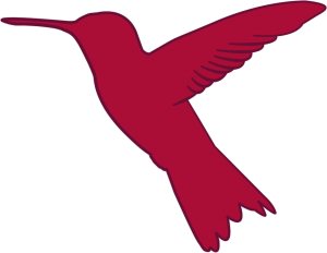 Hummingbird