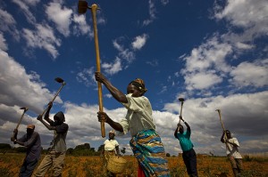 Rio20_Worldpulse Rio20_Worldpulse