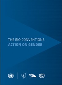 RioConventionsWeb