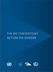 RioConventionsWeb