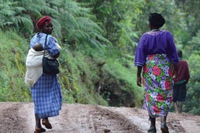 WEDO_PubCover WEDO_PubCover