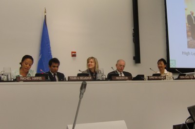 WEDO Climate and Finance Panel