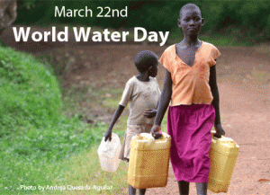 WWD_sidebar WWD_sidebar