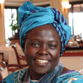 Wangari Wangari