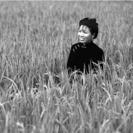 arbourvitae arbourvitae