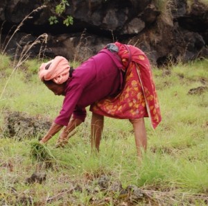 woman in field_web woman in field_web